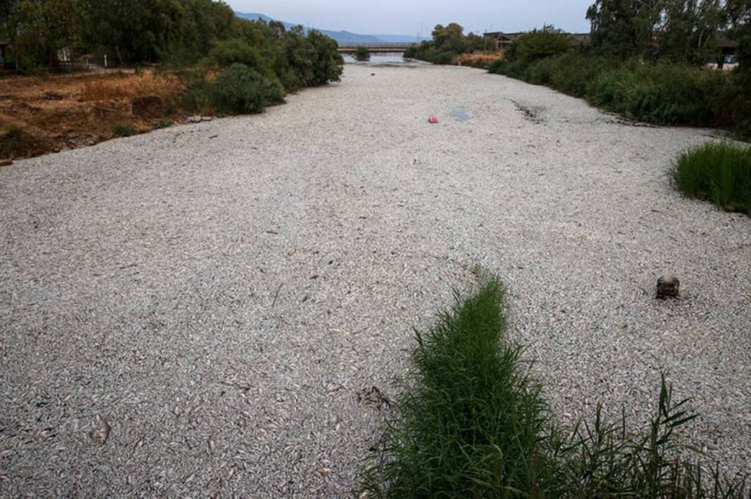 Sahil kentinde korkunç manzara: Ciddi tehditle karşı karşıyayız! Önlem alınmazsa turizme darbe vurabilir 5